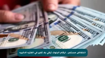انخفاض مستمر.. أرقام البنوك تبقى بلا تغير في الفترة الأخيرة